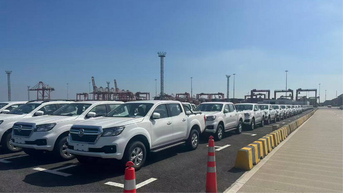 Fleet of export pickup trucks staged at the port for RORO loading