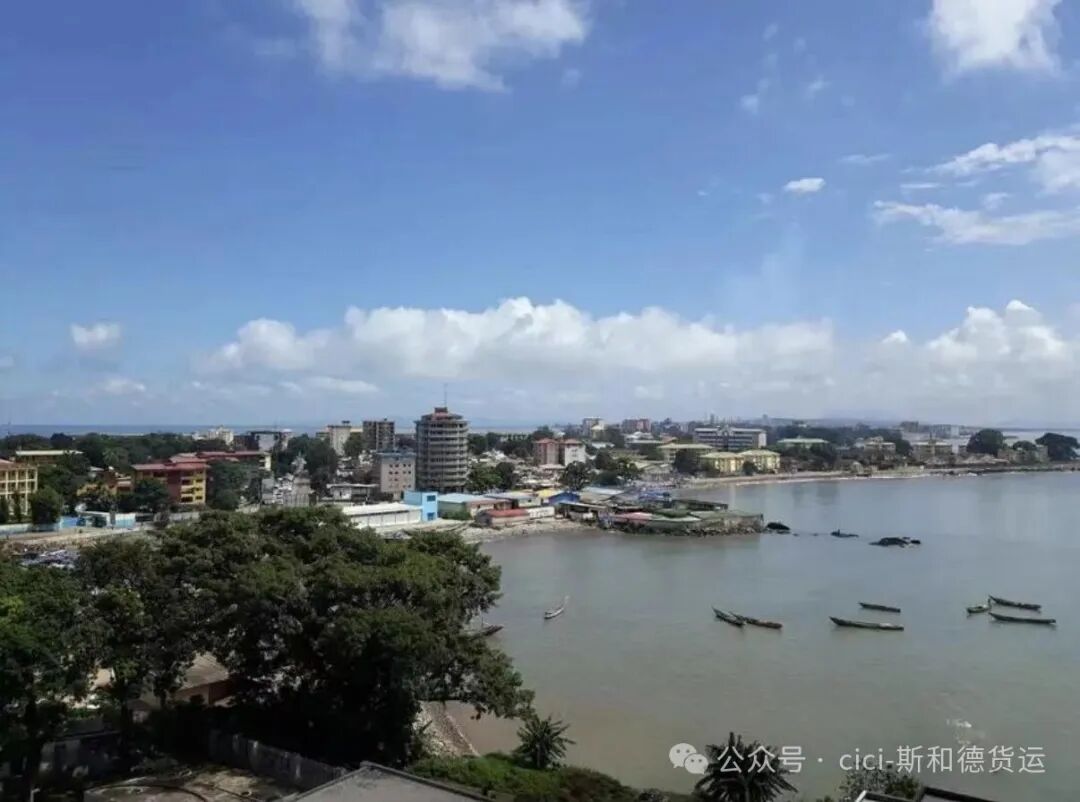 Real-time logistics operations at the Guinea coastal terminal, highlighting SPEED INT'L's project cargo handling capabilities